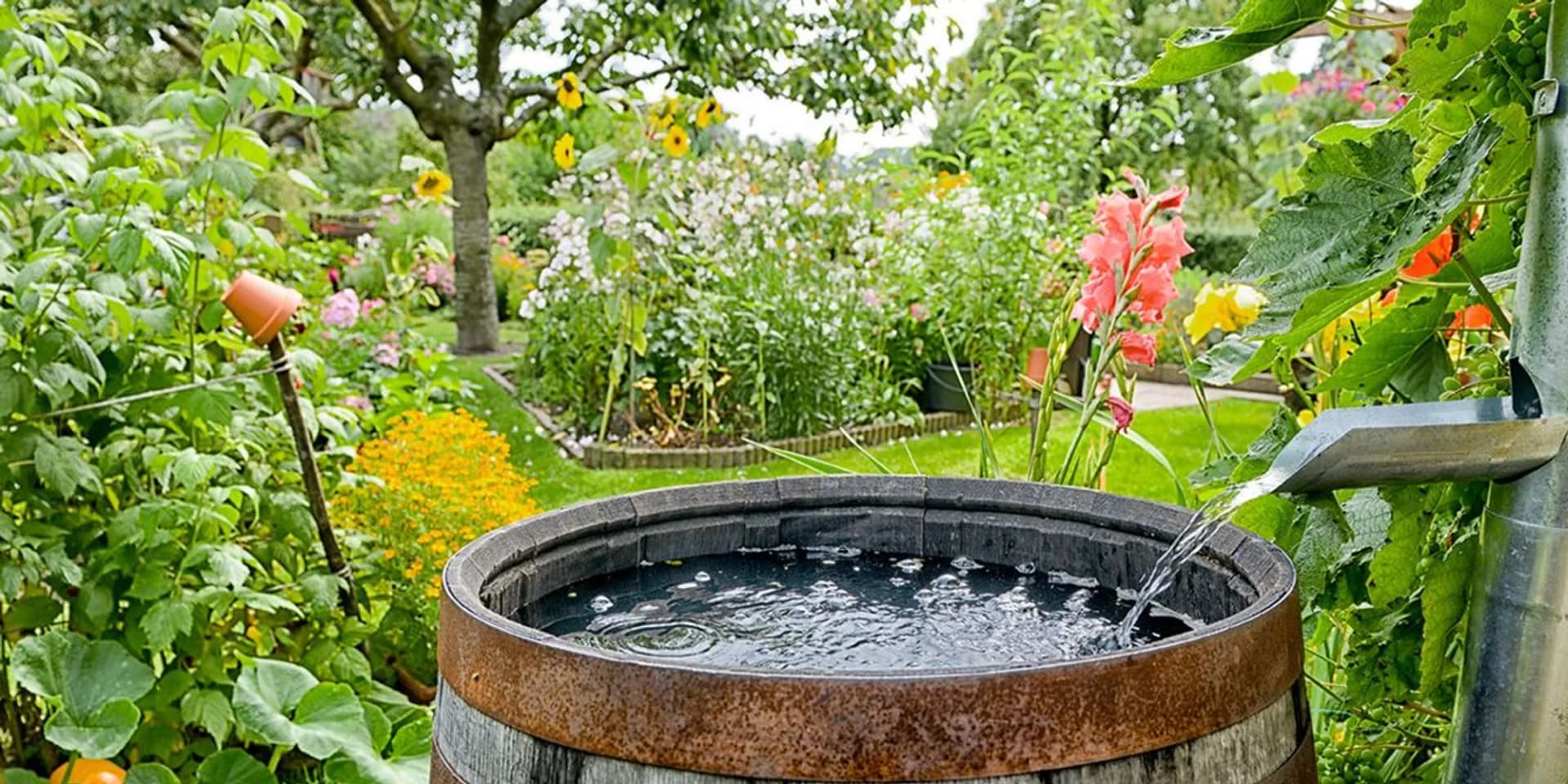 En trätunna fylld med vatten i en trädgård.