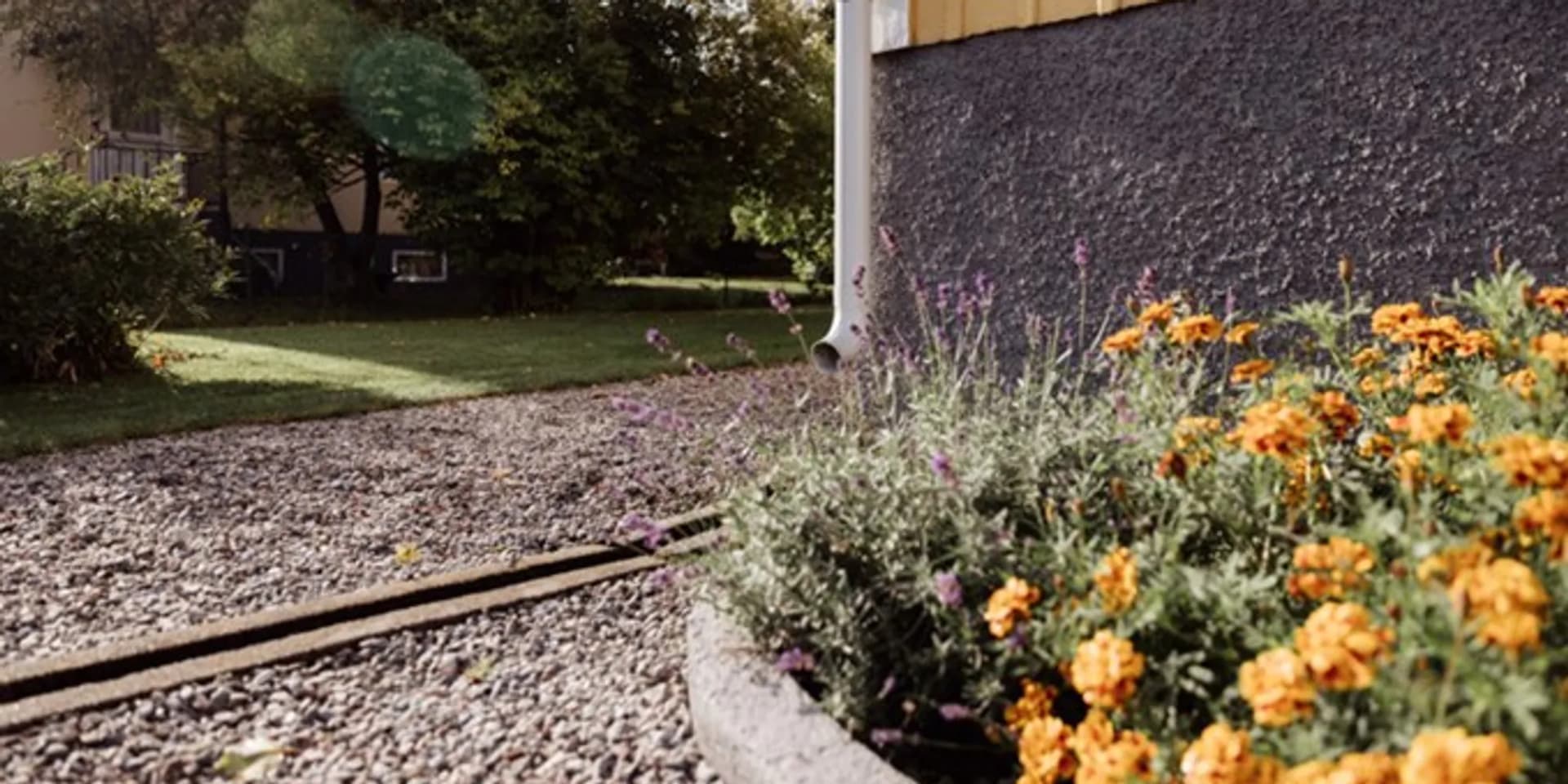 En trädgård med blommor och en byggnad i bakgrunden.