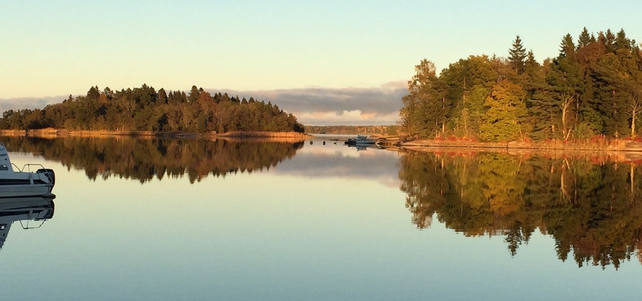Bild över en sjö i Örebro omringad av skog