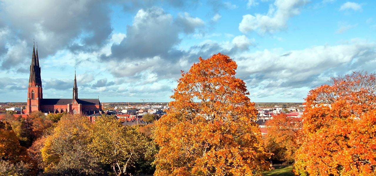 Bild över Uppsala Domkyrka omgiven av höstlöv