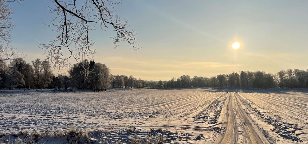 Vinter på landet