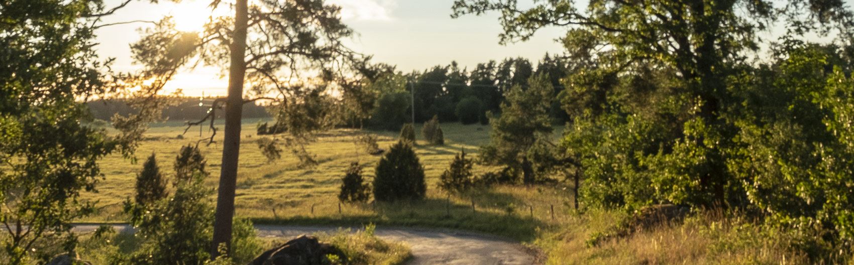 Vacker natur i solnedgång