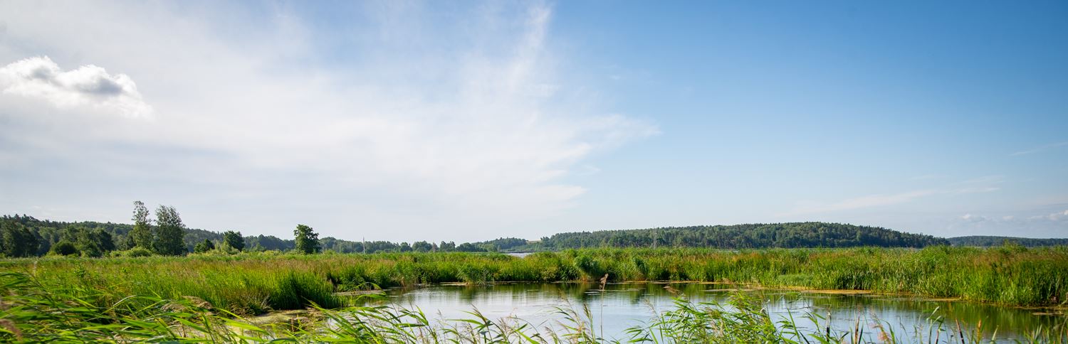 Mälarenergi vatten miljö