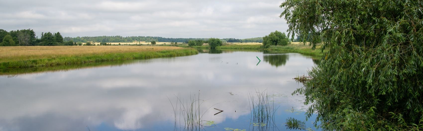 Naturbild med vatten och åkrar