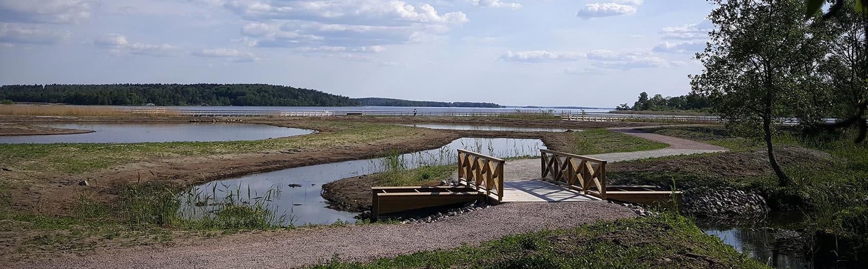 Hamre våtmark Hamre våtmark