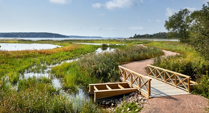 Hamre våtmark